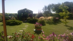 A garden with a stone pathway, various plants, and a large tree.