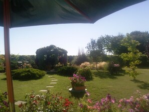 المنطقة المحيطة بالمنشأة