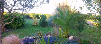 Old, Traditional, Charentaise House, Peaceful Vineyard Location