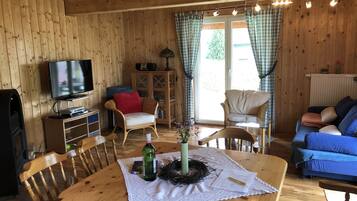 TV, fireplace, DVD player, books