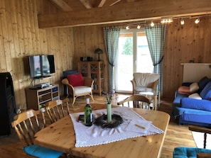 TV, fireplace, DVD player, books