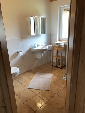 Shower, hair dryer, towels, soap