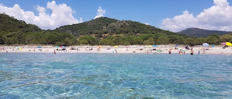 Plage à proximité