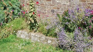 Una casa in pietra con tetto spiovente, diverse finestre con persiane e un giardino ricco di piante e fiori.