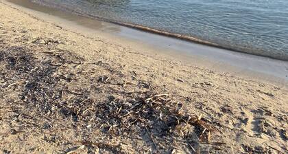 Superb luxury appartment in prime location (3min away from Palombbagia)