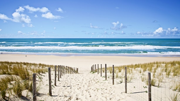 A sandy beach with a wooden fence leading to the ocean, under a clear blue sky. - Cap-Ferret peninsula: Beautiful villa with heated pool (Lège-Cap-Ferret)