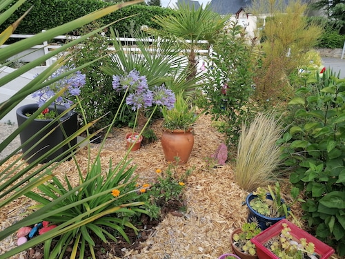House near the sea, DAMGAN/AMBON (MORBIHAN Sud) Atlantic coast 