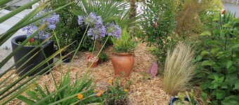 House near the sea, DAMGAN/AMBON (MORBIHAN Sud) Atlantic coast