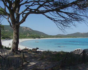 Ein Strand mit freiem Blick auf das Meer, einem Boot und einem Baum im Vordergrund.