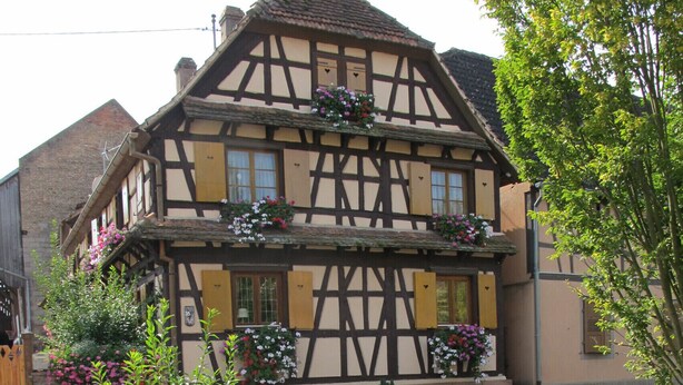 A traditional half-timbered house with flower boxes on the windowsills and a stone wall in the foreground. - Comfortable cottage prox. Obernai between Strasbourg and Colmar wine route (Stotzheim)