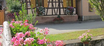 Comfortabel cottage prox. Obernai tussen Straatsburg en Colmar wijnroute