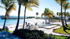 A beach resort with palm trees, lounge chairs, and a pool area.