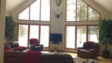 Smart TV, fireplace, DVD player, books