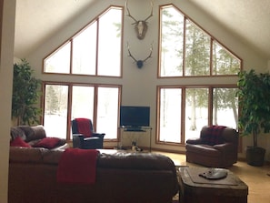 スマートテレビ、暖炉、DVD プレーヤー、書庫