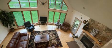 TV connectée, cheminée, lecteur de DVD, livres