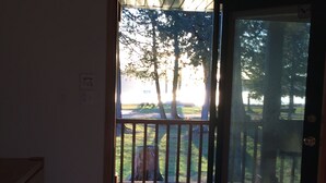 Vue depuis l’intérieur d’une pièce, à travers une porte vitrée, sur une terrasse en bois et des arbres.