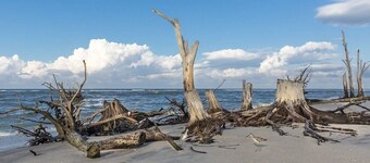 Englewood Cottage - 2 Bedrooms - 5 minutes from beach!