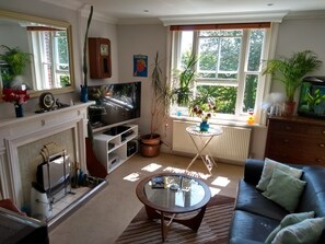 TV, fireplace, video games, DVD player - Stunning Retro Apartment in Leafy Brighton Street with Sea Views (Brighton)