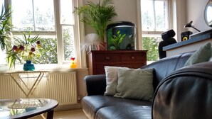 Televisión, chimenea, videojuegos y reproductor de DVD 