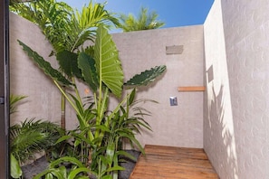 A modern outdoor space with a concrete wall, a wooden bench, and various tropical plants.