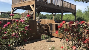A wooden deck with a railing, surrounded by blooming roses.