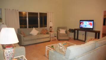 TV, DVD player, books, stereo