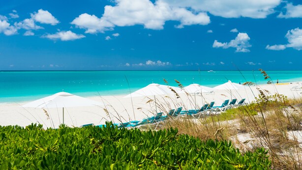 Una playa con sombrillas blancas y sillones reclinables, un cielo azul despejado y agua turquesa.