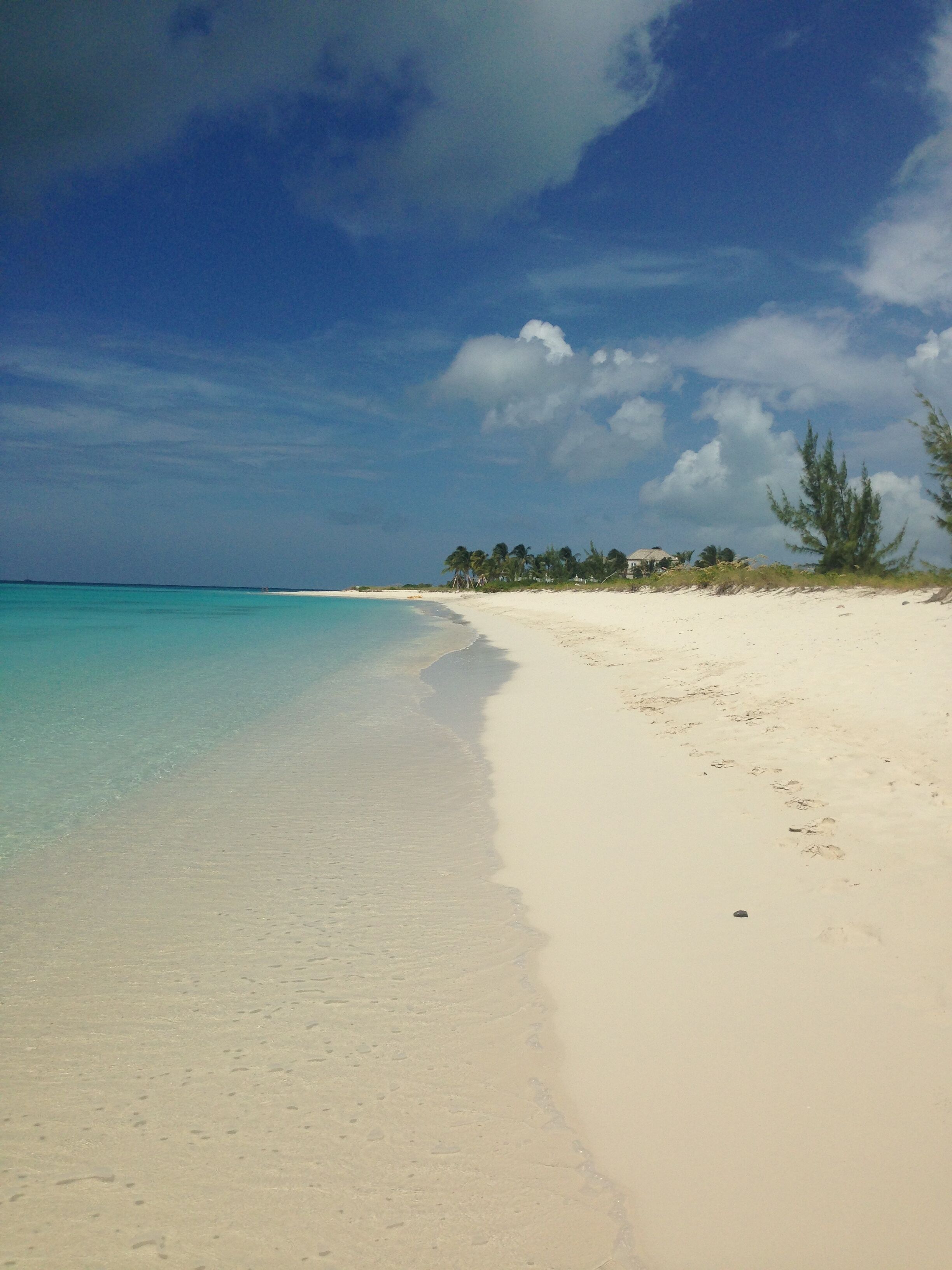 A beach with clear turquoise water, white sand, and a line of palm trees in the background.