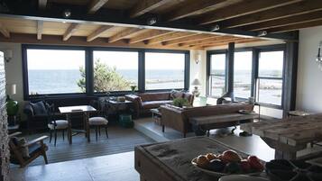 Televisión, chimenea, reproductor de DVD y libros