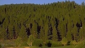 Eine friedliche Landschaft mit einem See, der Bäume und einen klaren Himmel spiegelt.