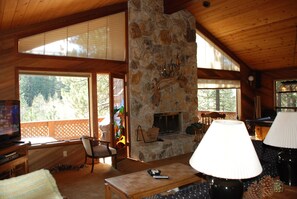 TV, fireplace, video games, DVD player