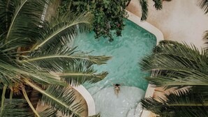 Ein Luftbild eines Schwimmbeckens, umgeben von üppiger tropischer Vegetation.