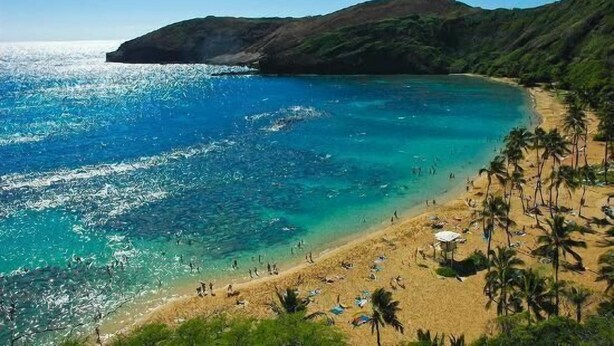 A beach with clear turquoise waters, a sandy shore, and palm trees.