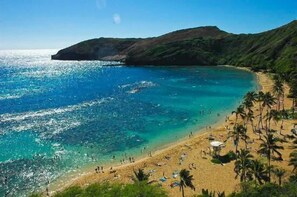 Una playa con agua turquesa cristalina, arena dorada y palmeras.