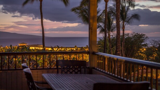 Un balcon donnant sur des palmiers et un bâtiment situé au loin, au crépuscule.