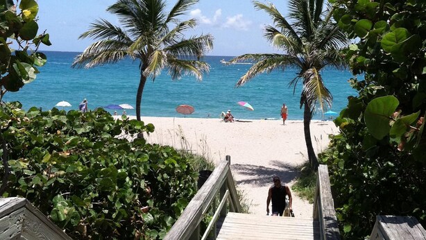 Een houten vogelbeschermingspad dat naar een strand loopt, met palmbomen en parasols.
