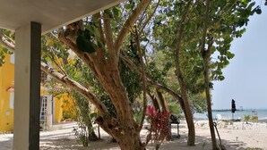 A covered outdoor area with a tree, a yellow building, and a beach in the background. - Marysol edificio blanco depto 1 Isla Mujeres (Isla Mujeres)