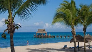 A beach with palm trees, a wooden pier, and a thatched-roof structure. - Three Steps Onto the Most Beautiful Beach in Cozumel (cozumel)