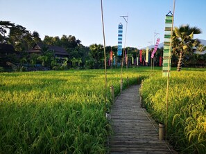 Áreas de la propiedad