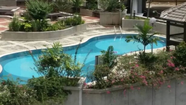 Una piscina rodeada de follaje y un sendero de baldosas.