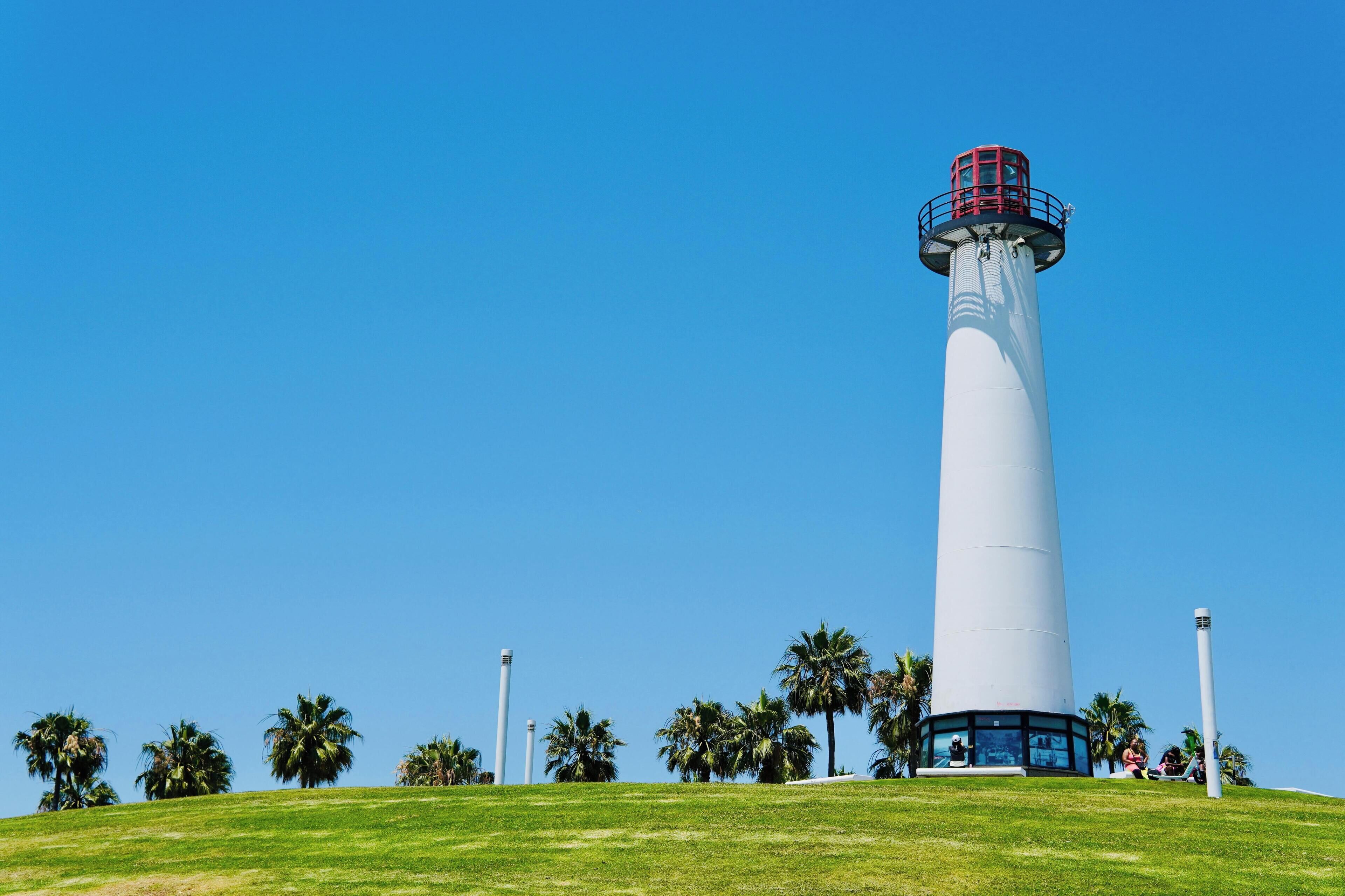 A tall white lighthouse with a red top, surrounded by a grassy area and palm trees.
