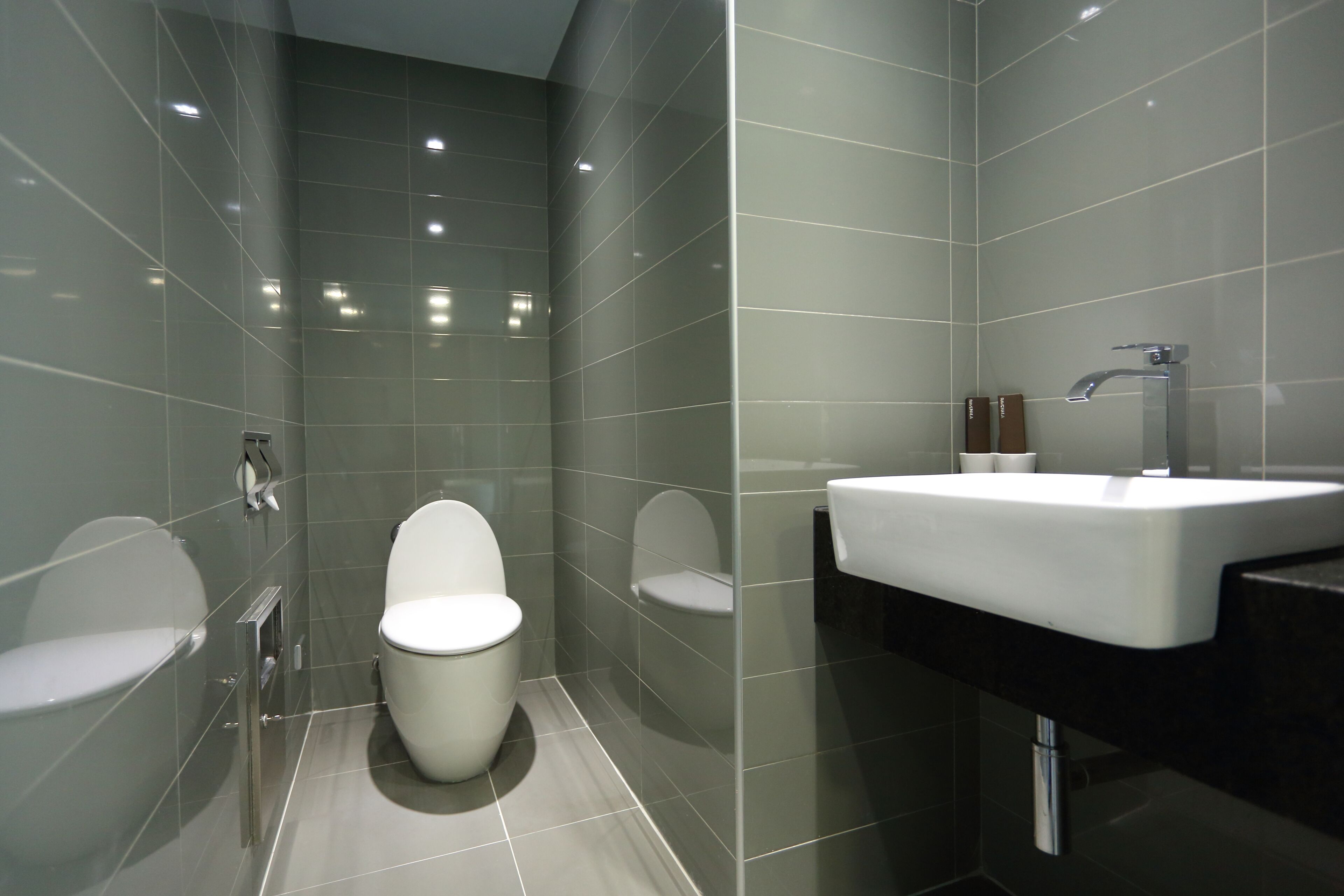 deluxe double room | bathroom | shower, hair dryer, slippers, towels