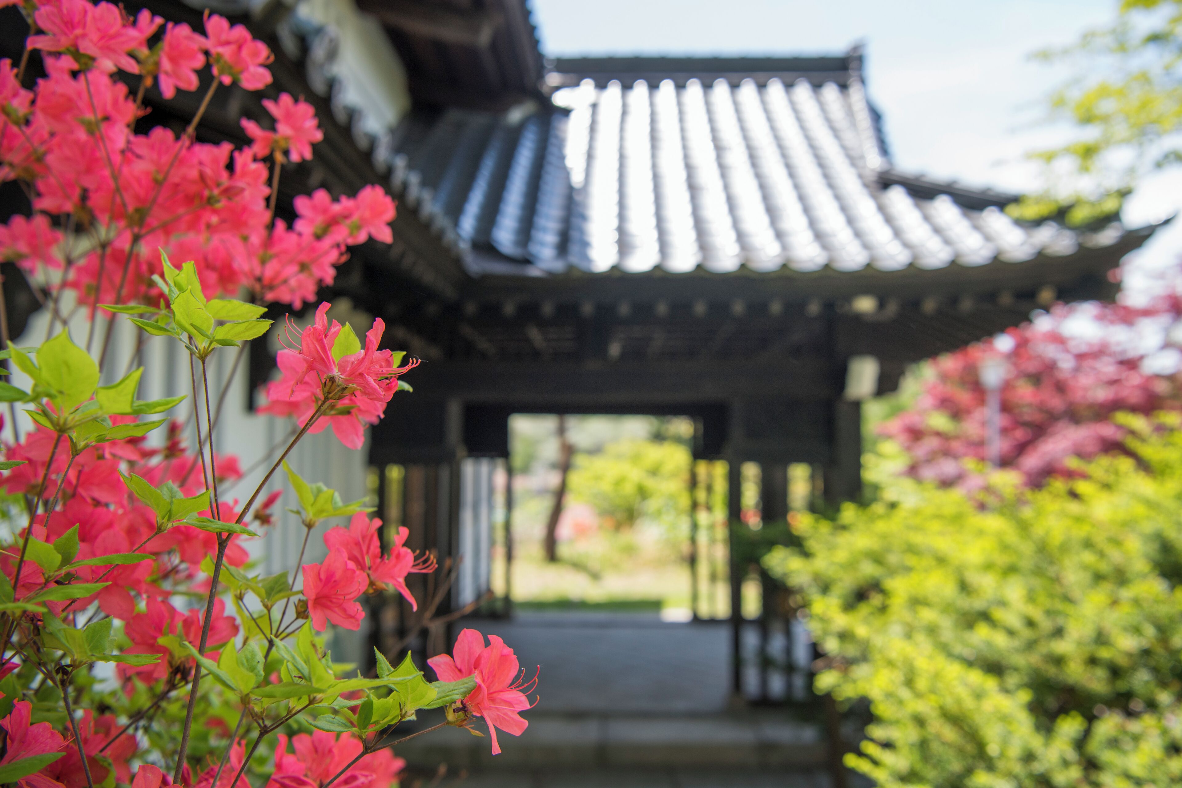 花园
