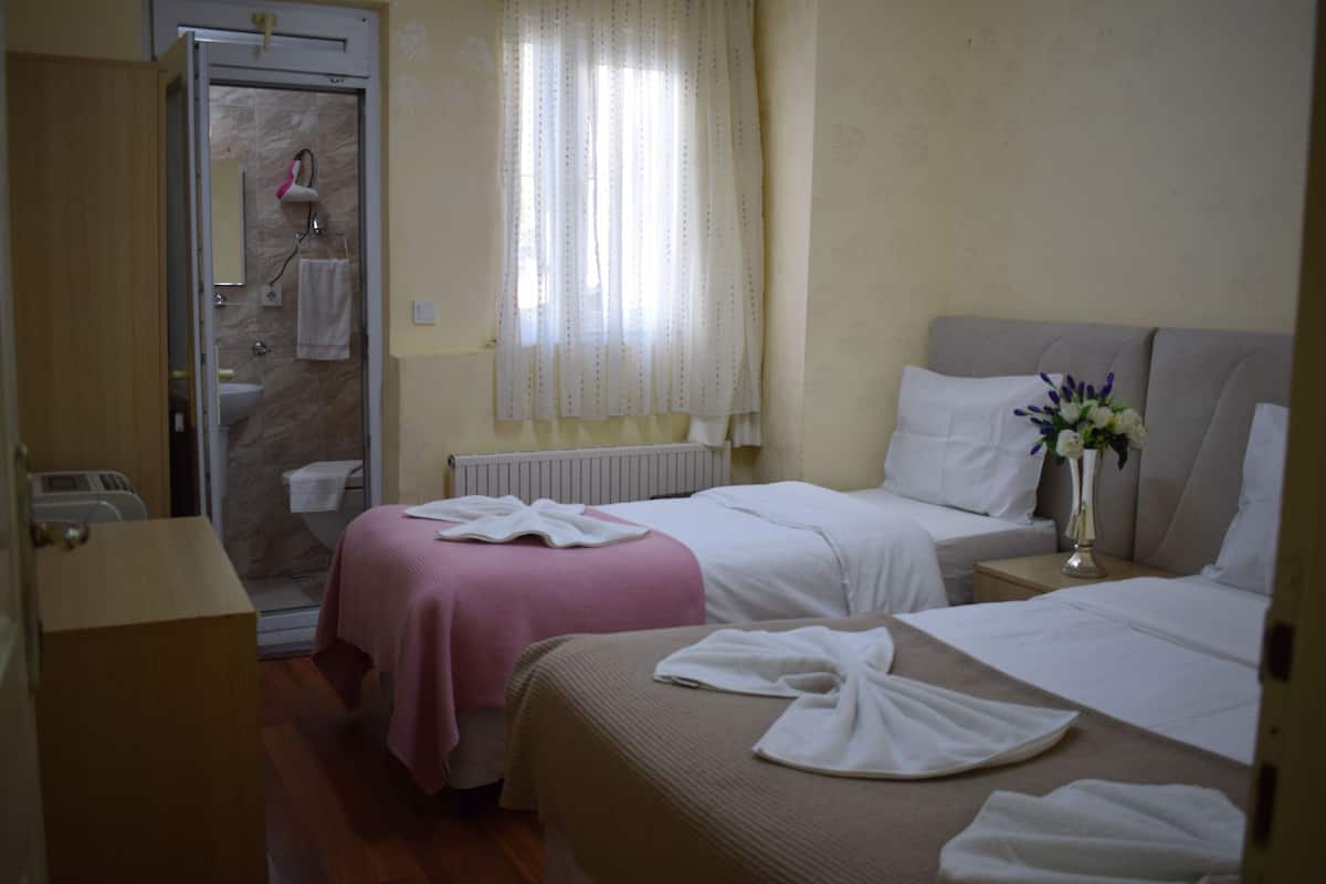 Une chambre d’hôtel avec deux lits, une douche, un radiateur et un vase avec des fleurs.
