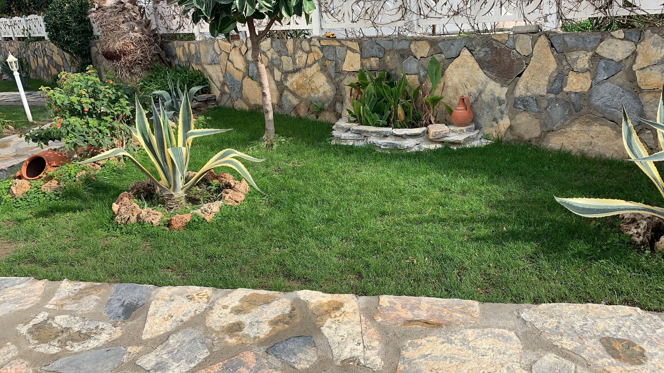 Foto - Canna Garden Hotel - Adult Only