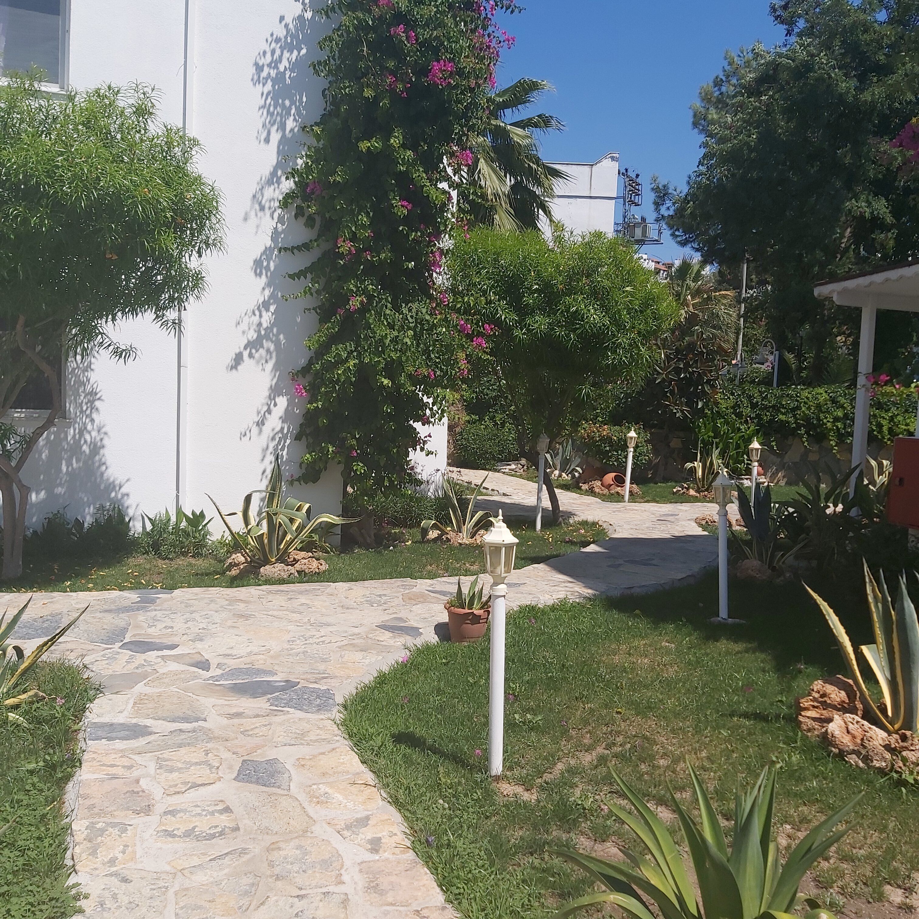 Un sendero de piedra que conduce a un edificio blanco con un jardín con diversas plantas y un farol.