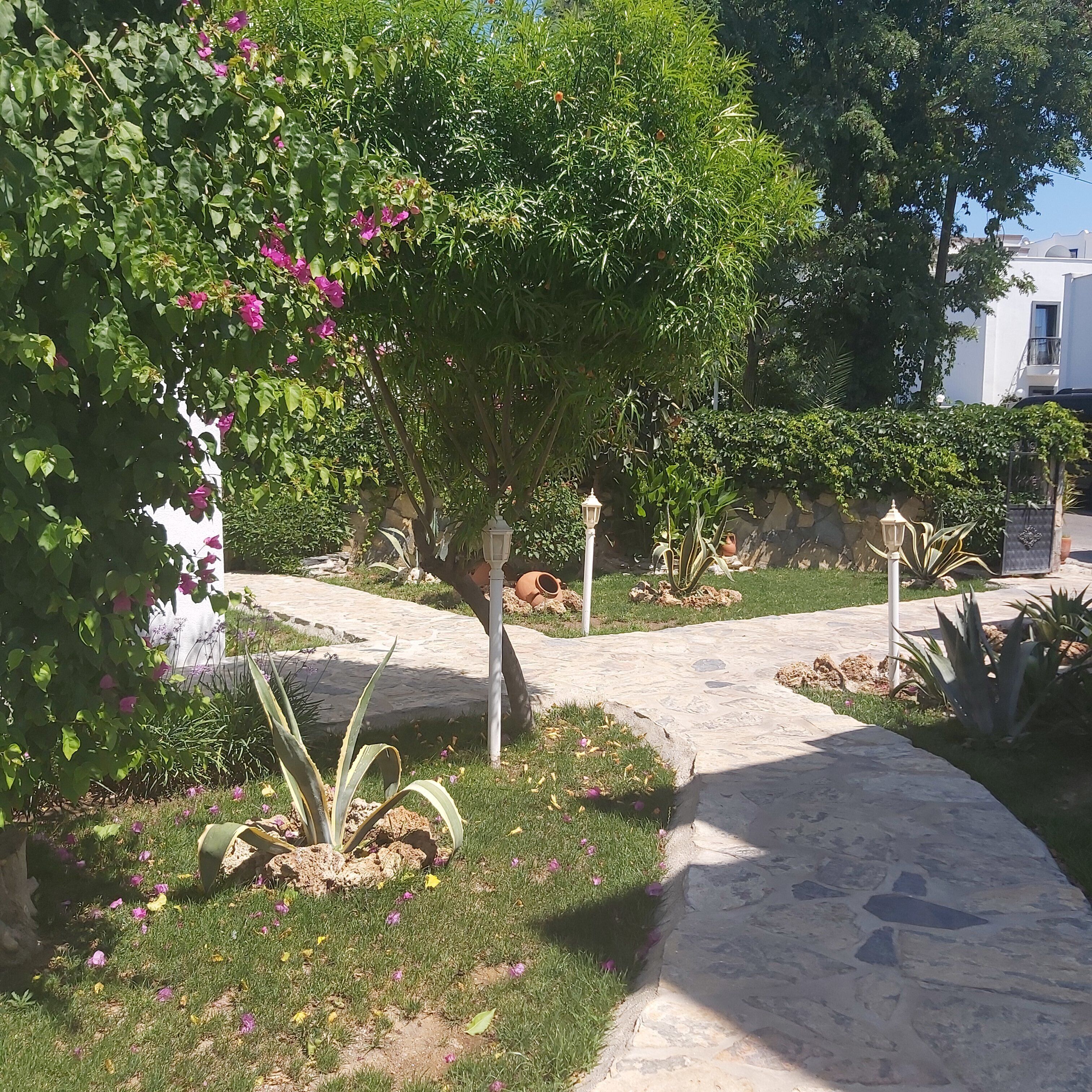 A garden pathway with a stone pavement, surrounded by various plants and flowers.