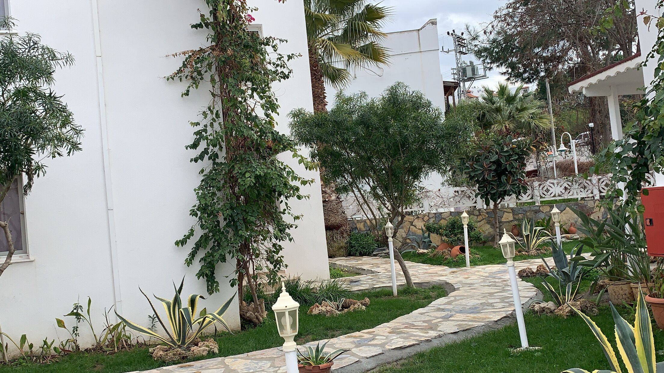 A garden with a stone pathway, white walls, and various plants.