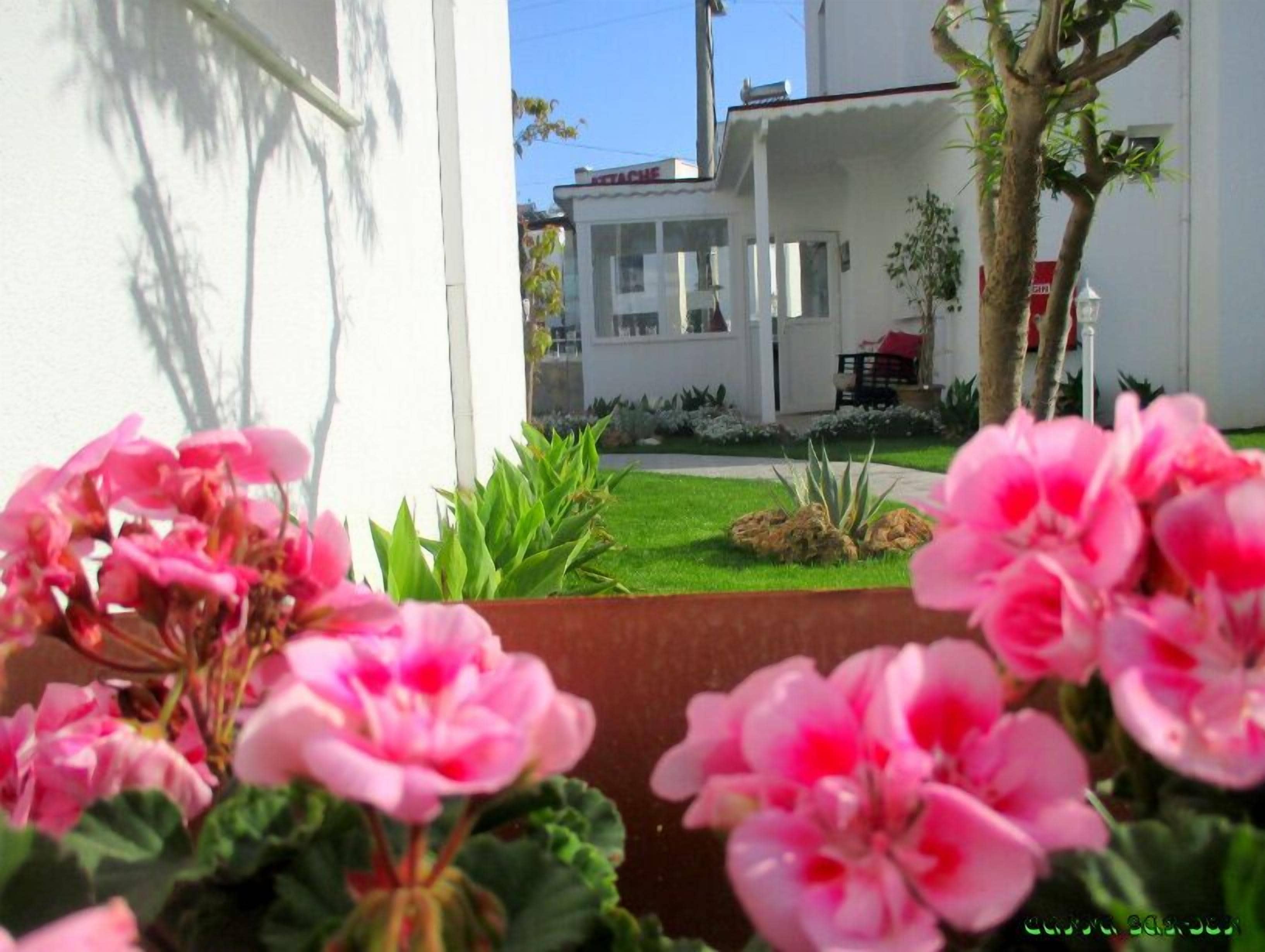 Un bâtiment blanc doté d’une fenêtre et d’une porte bien visibles, entouré d’un jardin bien entretenu où poussent des fleurs roses.