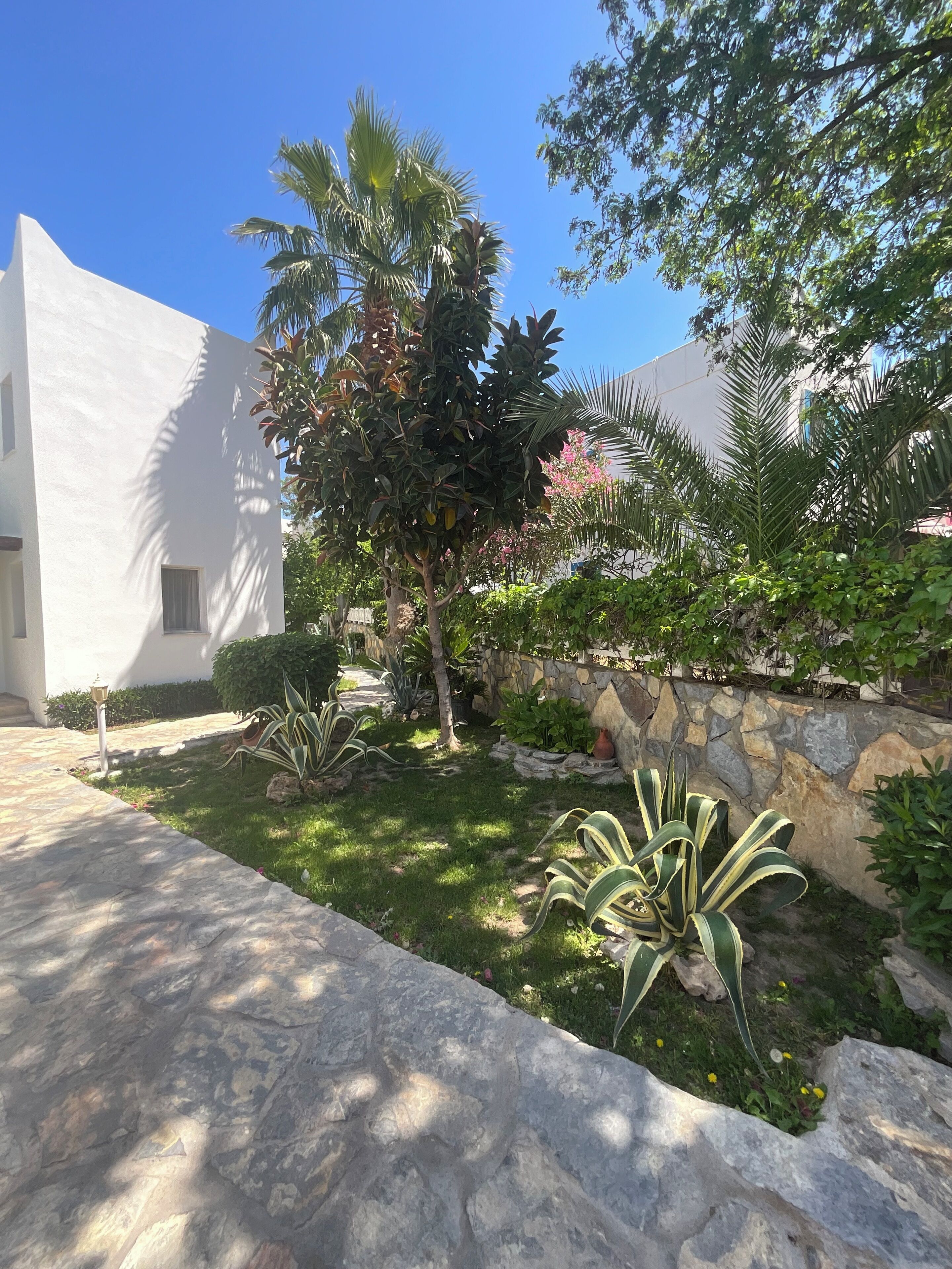Photo - Canna Garden Hotel - Adults Only